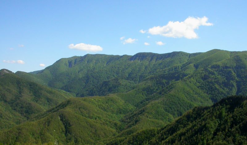 foreste casentinesi Arezzo